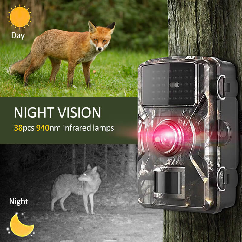 Fotocamera Wildlife Visione Notturna 1080p Impermeabile