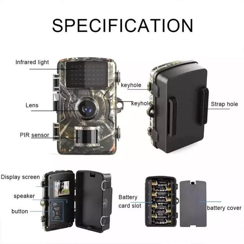 Fotocamera Wildlife Visione Notturna 1080p Impermeabile