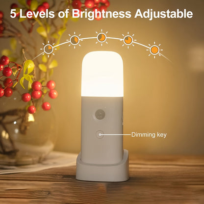 LED Night Light with Motion Sensor — USB Rechargeable 2000mAh 6