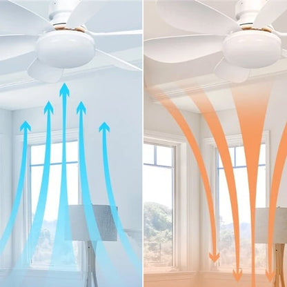 2-in-1 Ceiling Fan with Light — Instant Socket Installation 5
