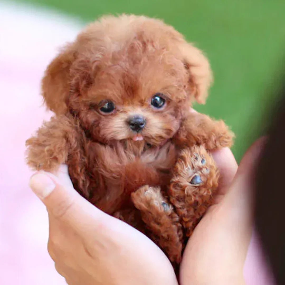 Interactive Plush Dog Toy with Realistic Movements 1