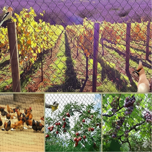 Rete Anti-Uccelli UV Resistente per Frutteti e Giardini