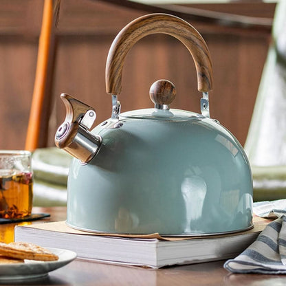 Stainless Steel Stovetop Kettle with Whistle — 2.5 L All Hobs 1