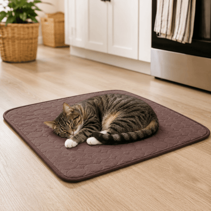 CHILLTAIL – Cuccia Rinfrescante Extra Large per Cani e Gatti