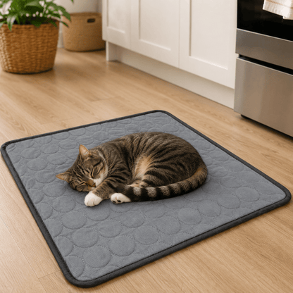CHILLTAIL – Cuccia Rinfrescante Extra Large per Cani e Gatti