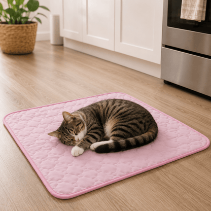 CHILLTAIL – Cuccia Rinfrescante Extra Large per Cani e Gatti