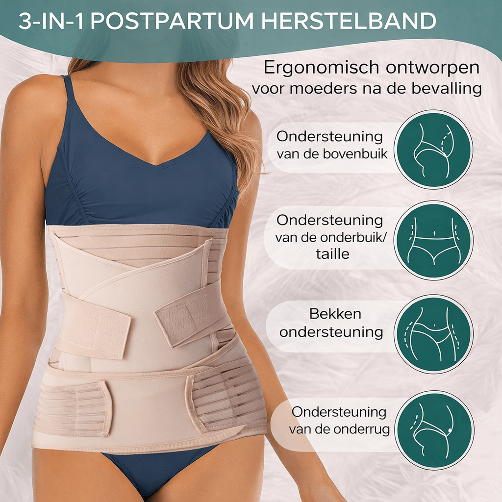 3 in 1 Postpartum Belly Band — Adjustable Waist & Pelvis Support 2