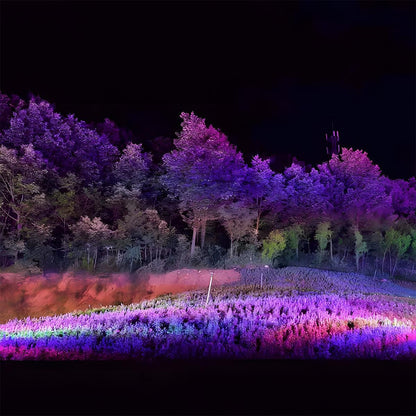 Faretto LED Esterno RGB Impermeabile per Illuminazione Paesaggistica