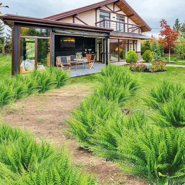 Kunstmatige Bostonvaren Weerbestendig tegen UV-stralen - Realistische Nepplanten voor Buiten