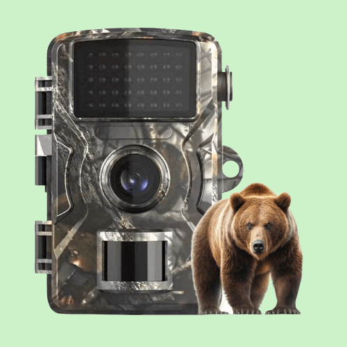 Fotocamera Wildlife Visione Notturna 1080p Impermeabile