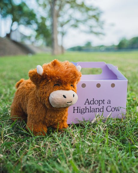 Highland Cow Stuffed Animal — Soft Plush Gift for Kids & Adults 8