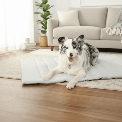 Tappetino Refrigerante Autoraffreddante per Cani