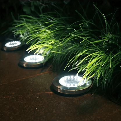 Lumières Solaires de Jardin en Acier Inoxydable - Illuminez Votre Espace Extérieur