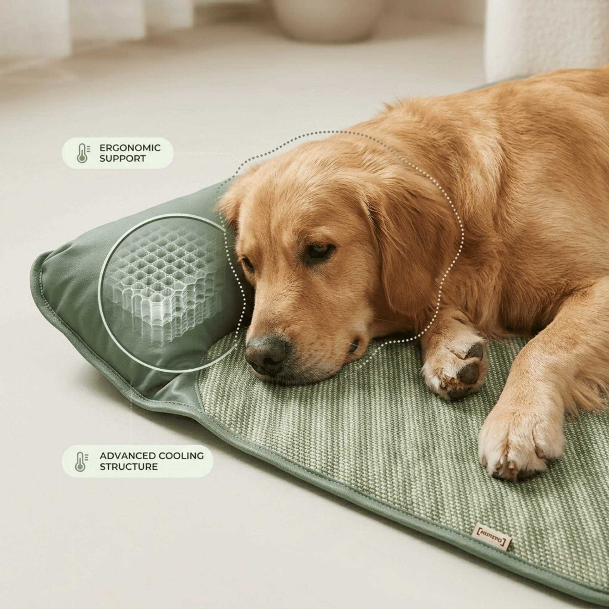 Tappetino Rinfrescante Traspirante per Cani e Gatti con Cuscino