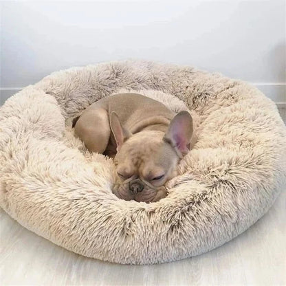 Cuccia Calmante Ortopedica per Cani Lavabile Antistress