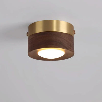 Moderne LED Plafondlamp van Notenhout voor de Slaapkamer
