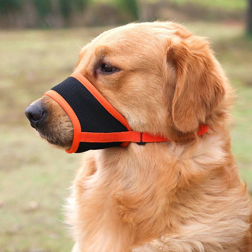 Museruola Morbida in Rete Traspirante per Cani Regolabile