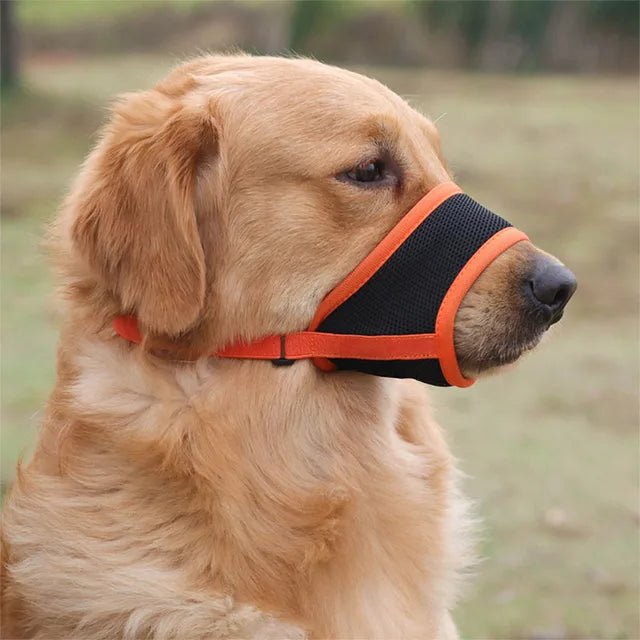 Museruola Morbida in Rete Traspirante per Cani Regolabile