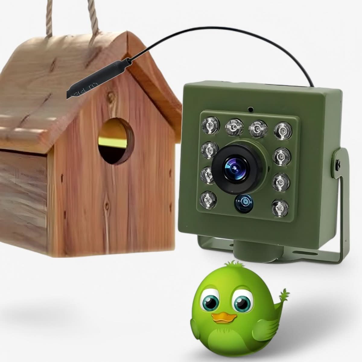 HD 1080p Vogelhuiscamera – Nachtzicht