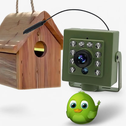 HD 1080p Vogelhuiscamera – Nachtzicht