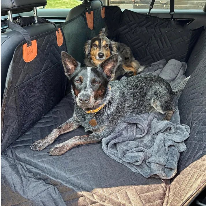 Sac de Transport pour Chiens Imperméable avec Mousse à Mémoire de Forme - Sécurité en Voiture