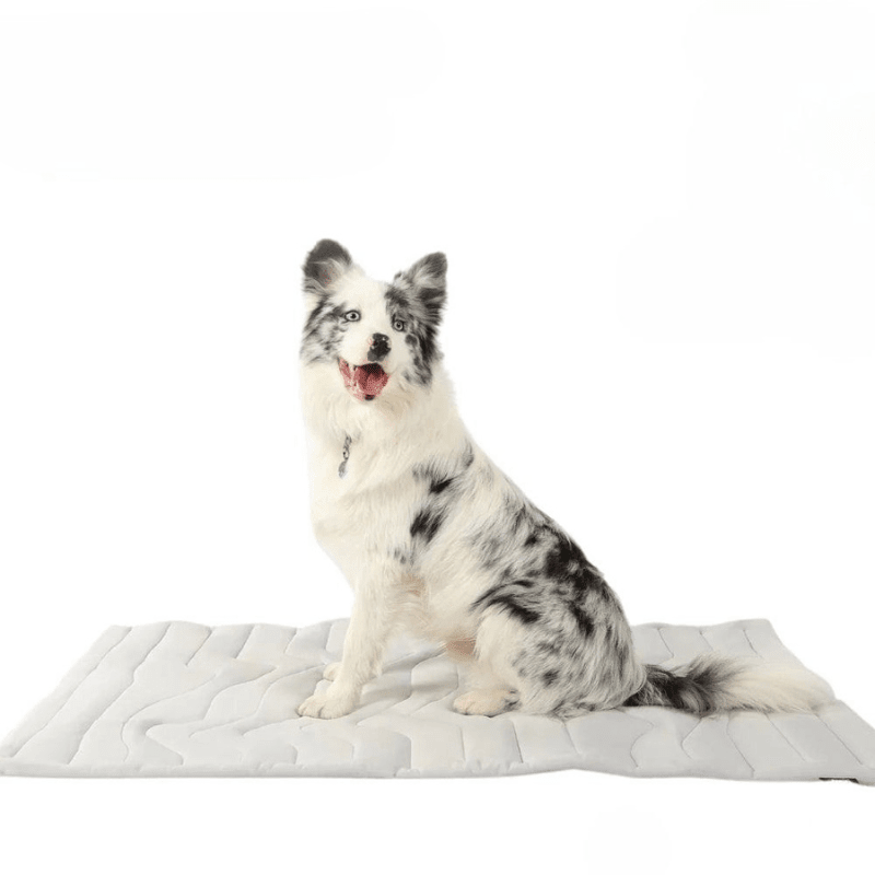 Tappetino Refrigerante Autoraffreddante per Cani