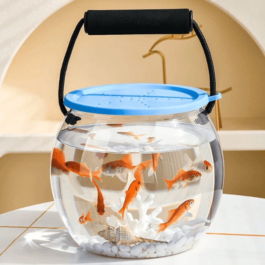Acquario Portatile Trasparente da Spiaggia e Casa