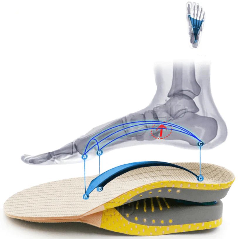 Solette Ortopediche in Gel Supporto Plantare Comfort