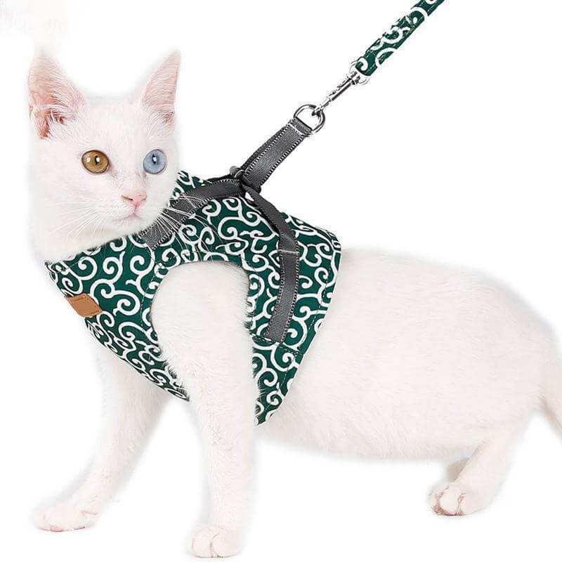 Pettorina Gilet per Gatti con Guinzaglio Regolabile