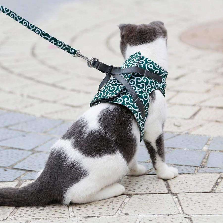 Pettorina Gilet per Gatti con Guinzaglio Regolabile
