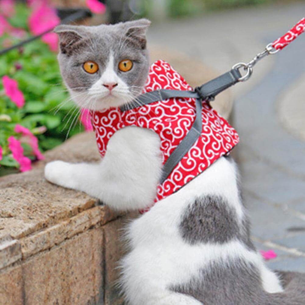 Pettorina Gilet per Gatti con Guinzaglio Regolabile