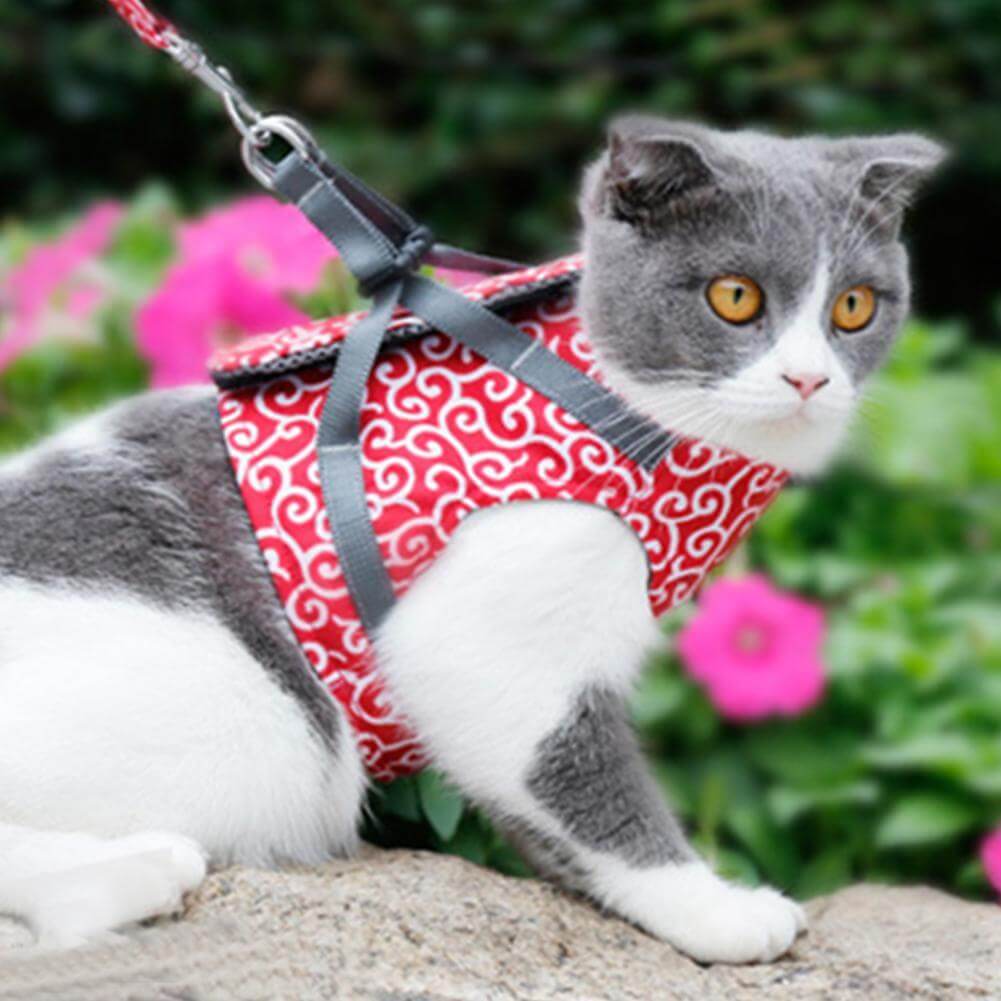 Pettorina Gilet per Gatti con Guinzaglio Regolabile
