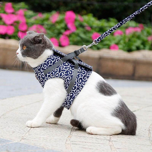 Pettorina Gilet per Gatti con Guinzaglio Regolabile