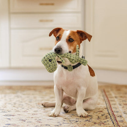KauDino Indestructible Dog Chew Toy — Dino Design All Sizes 4