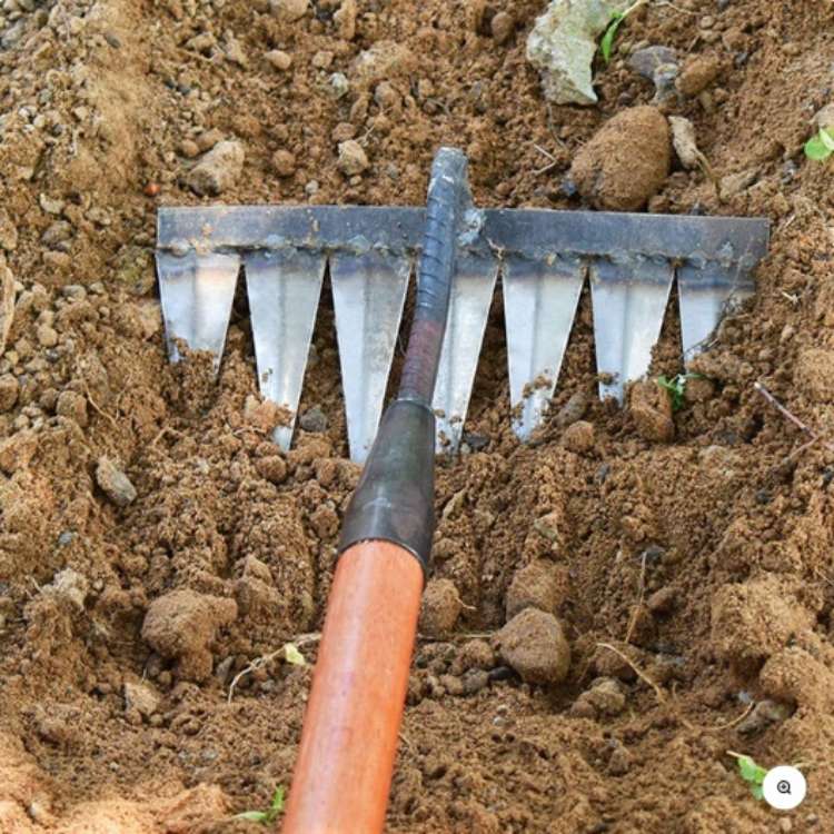 Rastrello in Acciaio Estirpatore di Erbacce Professionale