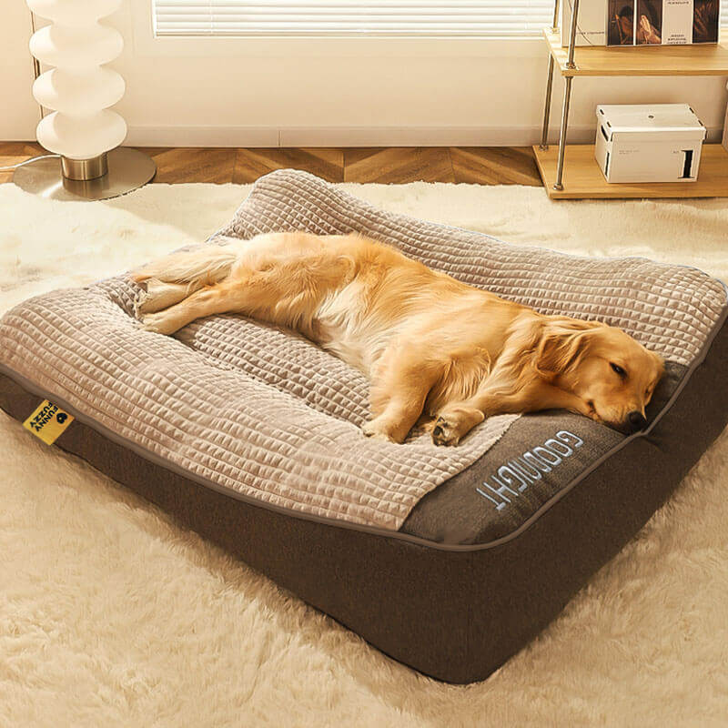 Orthopedic Dog Bed with Pillow — Luxury Velvet XL Support 1