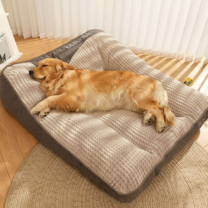Orthopedic Dog Bed with Pillow — Luxury Velvet XL Support 3