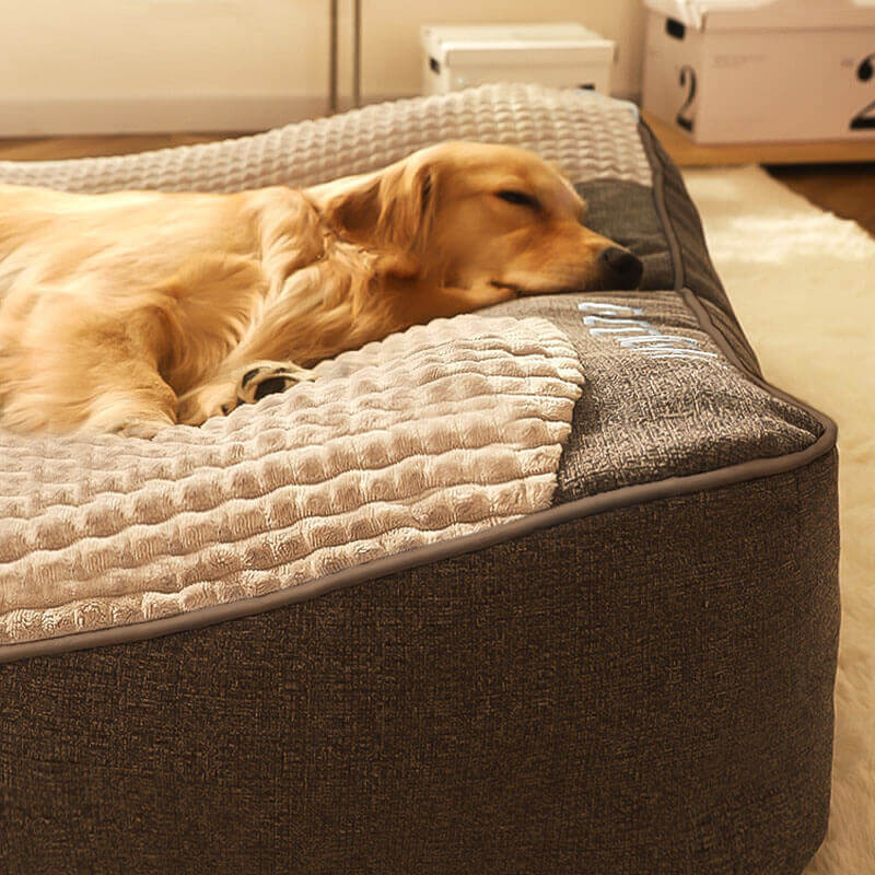 Orthopedic Dog Bed with Pillow — Luxury Velvet XL Support 4