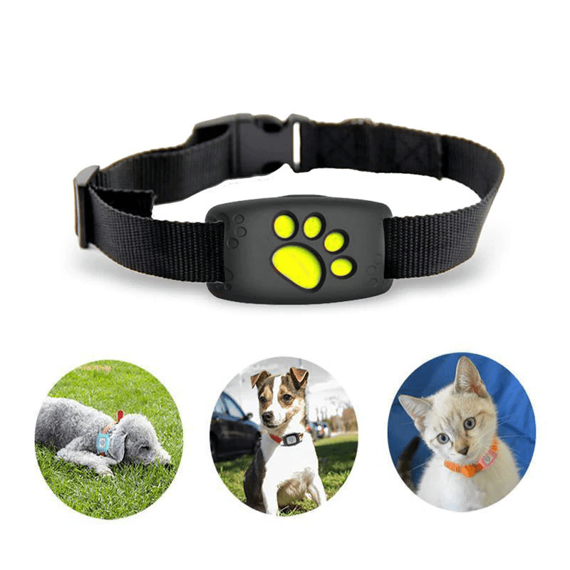 Collare GPS Tracker per Cani e Gatti Impermeabile