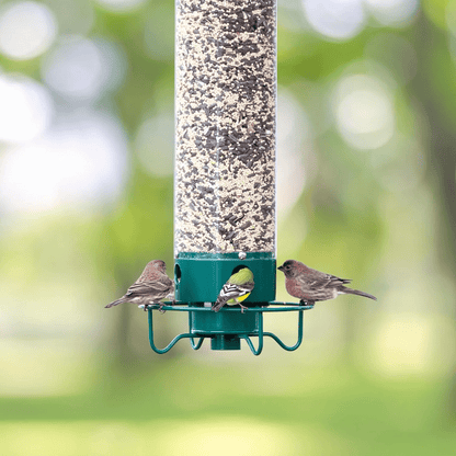 Squirrel Proof Bird Feeder with Rotating Perch — 4 Ports 6