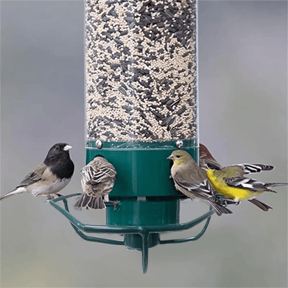 Squirrel Proof Bird Feeder with Rotating Perch — 4 Ports 7