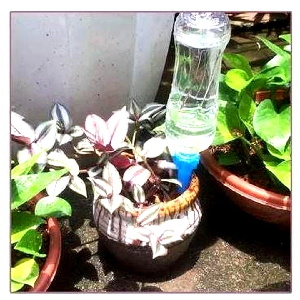 Picchetti Irrigazione Automatica Piante Set 12 Pezzi