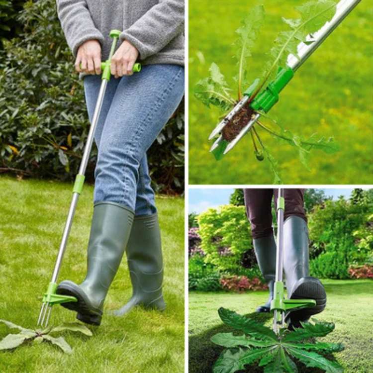 Estrattore Erbacce Manuale da Giardino con Radici