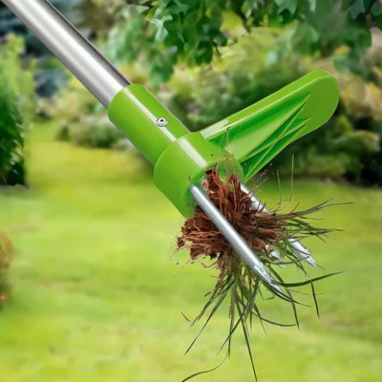 Estrattore Erbacce Manuale da Giardino con Radici