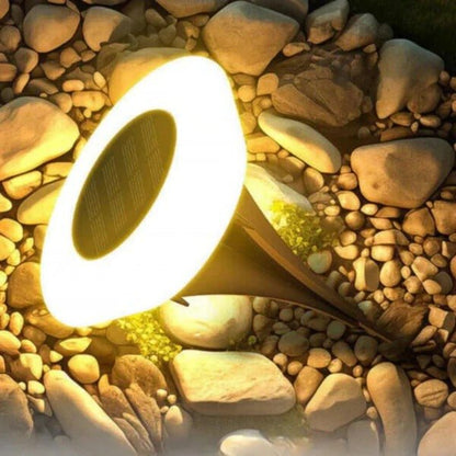 Solar Garden Stake Light IP65 Rust-Proof — 10h Illumination 6