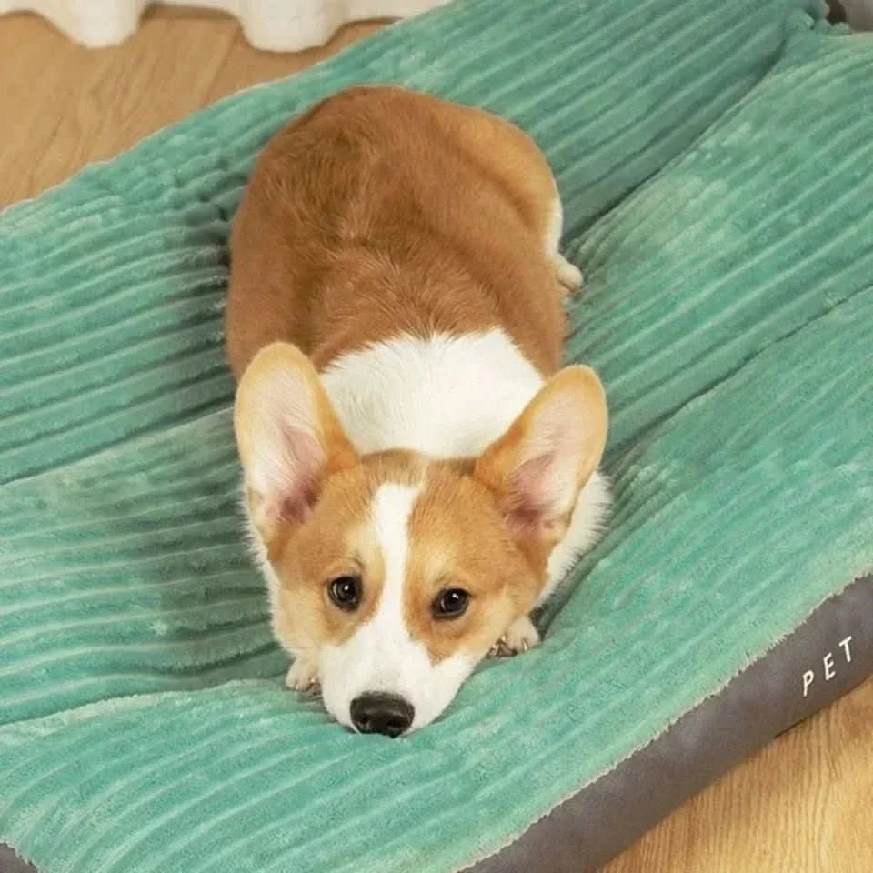 Orthopedic Dog Bed – Soft, Warm & Machine Washable 4