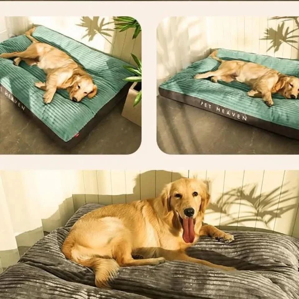 Orthopedic Dog Bed – Soft, Warm & Machine Washable 3