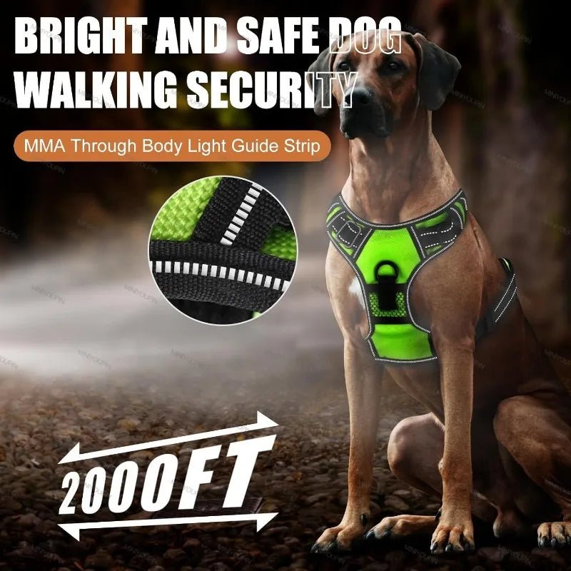 Rechargeable LED Dog Harness — Night Safety & No-Pull Fit 4