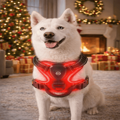 Rechargeable LED Dog Harness — Night Safety & No-Pull Fit 1