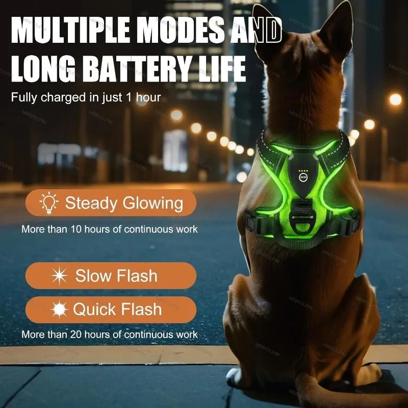 Rechargeable LED Dog Harness — Night Safety & No-Pull Fit 3